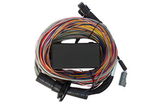 Cargar imagen en el visor de la galería, Haltech Elite 750 Premium Universal Wire-In Harness - 2.5m (8ft)