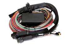 Cargar imagen en el visor de la galería, Haltech Elite 2500/2500 T Premium Universal Wire-In Harness - 2.5m (8ft)