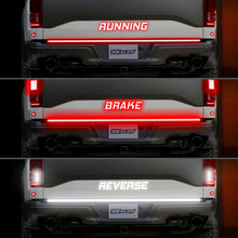 Cargar imagen en el visor de la galería, User 1