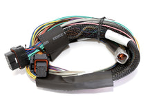 Cargar imagen en el visor de la galería, Haltech Elite 2500 Basic Universal Wire-In Harness w/o Relays or Fuses - 2.5m (8ft)