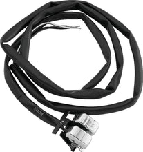 Cargar imagen en el visor de la galería, Photo - Primary