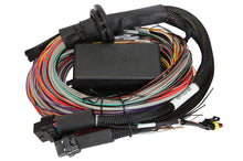 Cargar imagen en el visor de la galería, Haltech Elite 1500 Premium Universal Wire-In Harness - 2.5m (8ft)