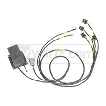 Cargar imagen en el visor de la galería, Rywire IGBT (AEM/IGN-1A) Coil Sub-Harness for 2 Rotor Engines