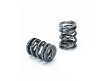 Cargar imagen en el visor de la galería, Supertech Honda B16A/B17A/B18C Dual Valve Spring - Set of 16