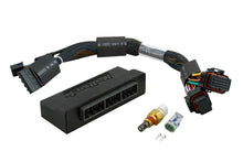 Cargar imagen en el visor de la galería, Haltech Elite 2000/2500 Plug-n-Play Adaptor Harness