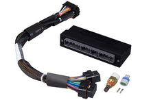 Cargar imagen en el visor de la galería, Haltech Elite 1000/1500 Plug-n-Play Adaptor Harness