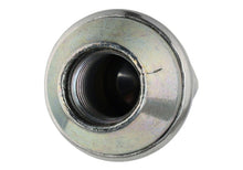 Cargar imagen en el visor de la galería, Photo - Unmounted