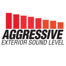 Cargar imagen en el visor de la galería, aggressivesoundlevel.jpg