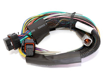 Cargar imagen en el visor de la galería, Haltech Elite 1500 Basic Universal Wire-In Harness w/o Relays or Fuses - 2.5m (8ft)